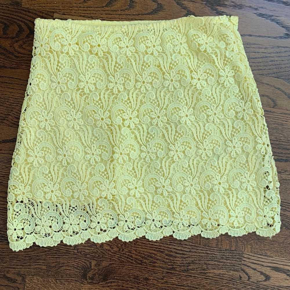 Zara Skirt